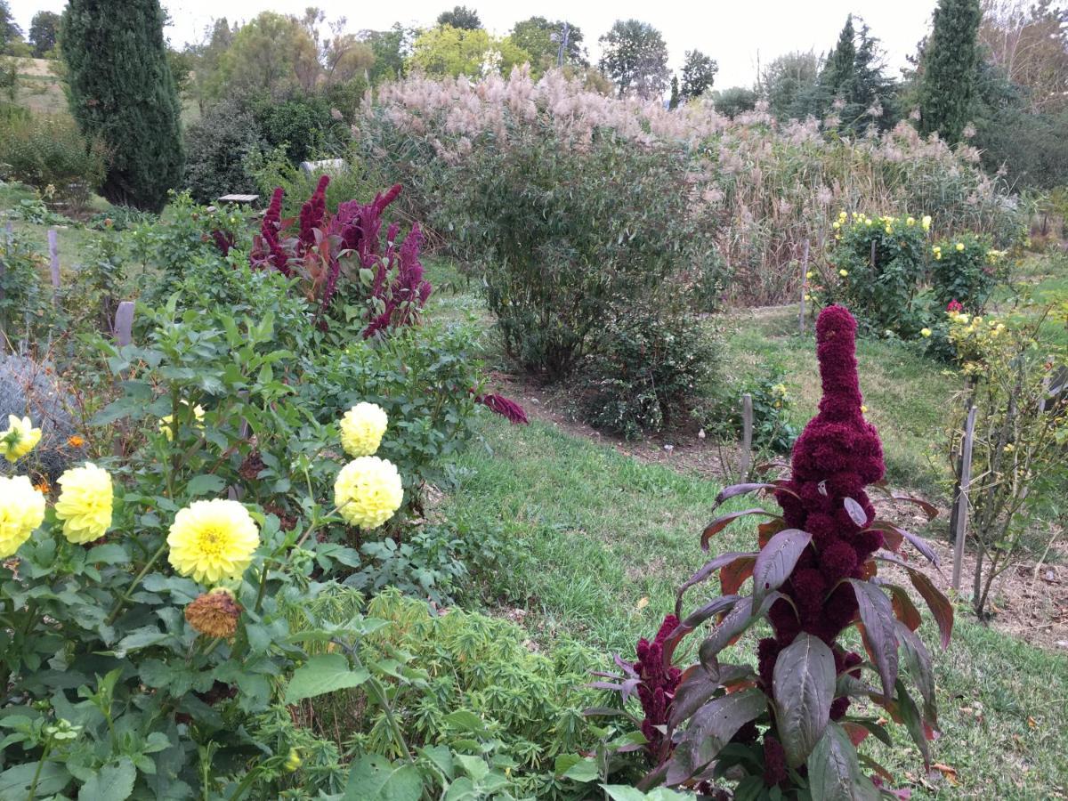 La Source, Vegetarian Guest House Chabeuil Exterior photo